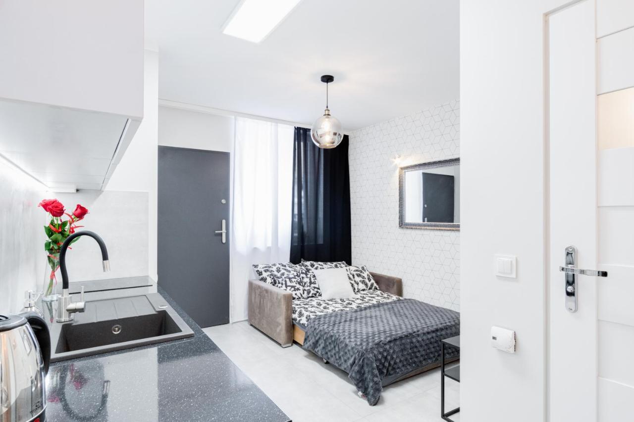 Crystal Apartment Katowice IV 외부 사진